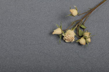 Similar image 21879821