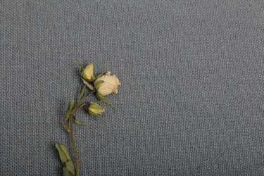 Similar image 21879822