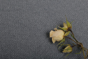 Similar image 21879823