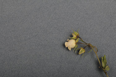 Similar image 21879824