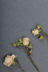 Similar image 21879825