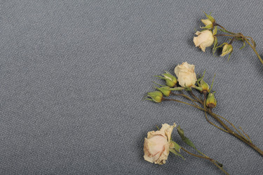 Similar image 21879826