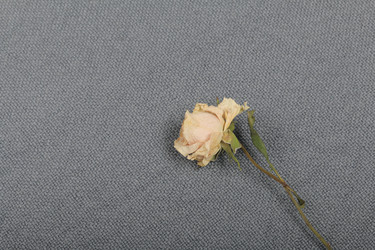 Similar image 21879827