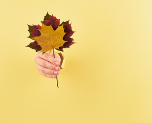 Similar image 21881545