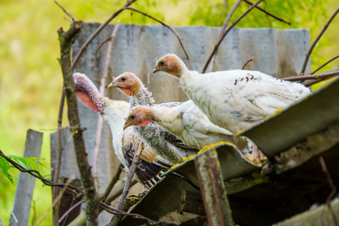 Similar image 21887424