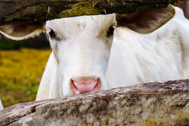 Similar image 21887425