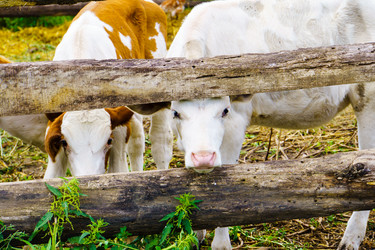 Similar image 21887429