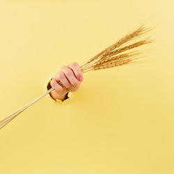 Similar image 21883329