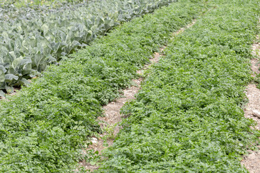 Similar image 21879719