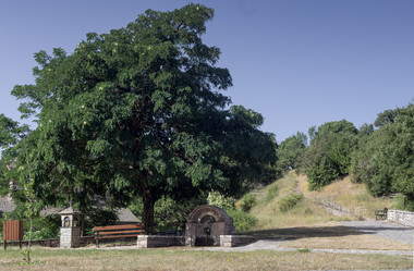 Similar image 21879722