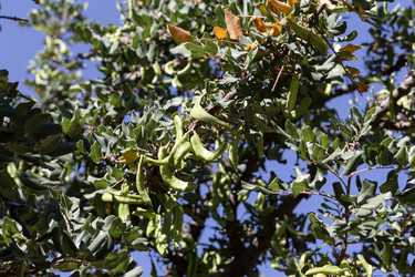 Similar image 21879723