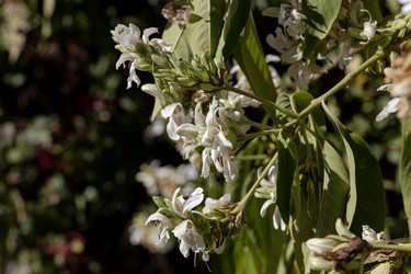 Similar image 21879725