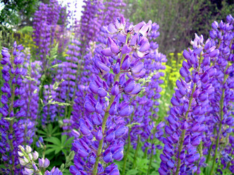 Similar image 21880317