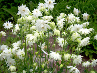 Similar image 21880318