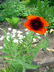 Similar image 21880320