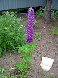 Similar image 21880322