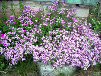 Similar image 21880323