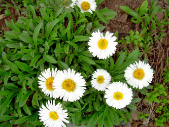 Similar image 21880324