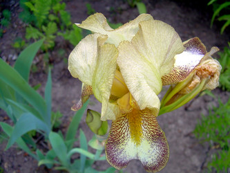 Similar image 21880325