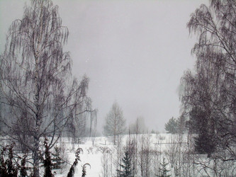 Similar image 21879899