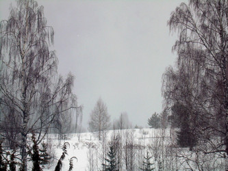 Similar image 21879900