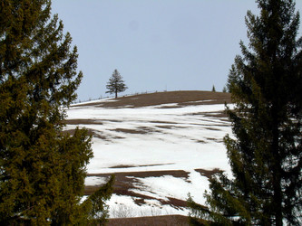 Similar image 21879901