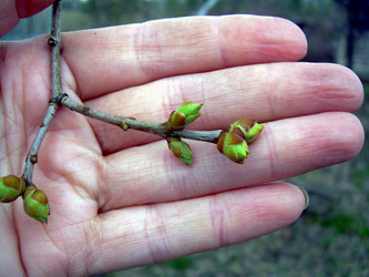 Similar image 21880326