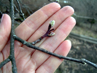 Similar image 21880327