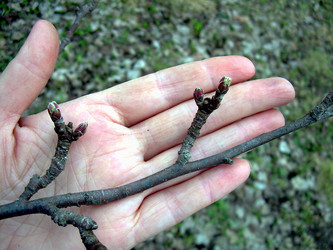 Similar image 21880328