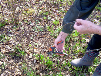 Similar image 21880329