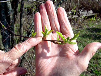 Similar image 21880251