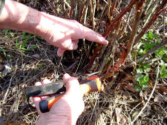 Similar image 21880252