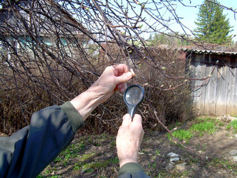 Similar image 21880253