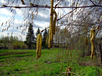 Similar image 21880255