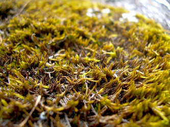 Similar image 21880257