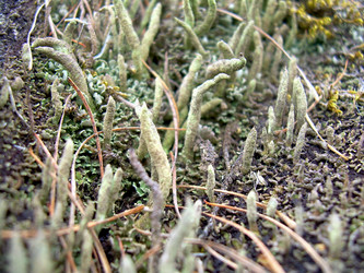 Similar image 21880258