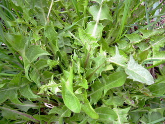 Similar image 21880260