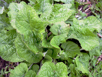 Similar image 21880261