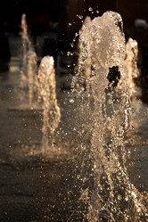 Similar image 21884336