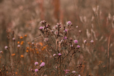 Similar image 21882204