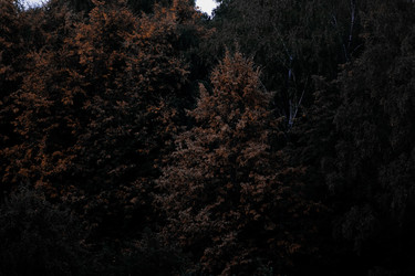 Similar image 21882205