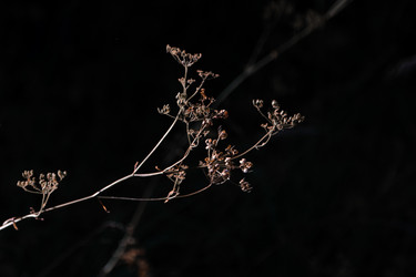 Similar image 21882206