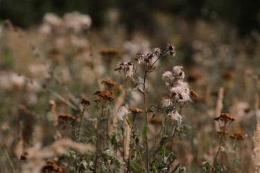 Similar image 21882208