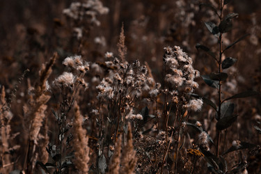 Similar image 21882209