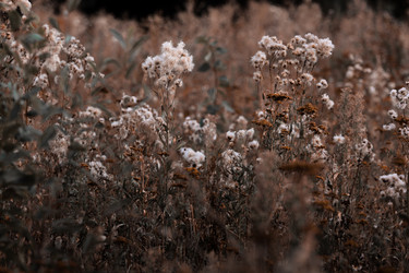 Similar image 21882210