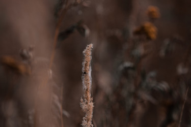 Similar image 21882097