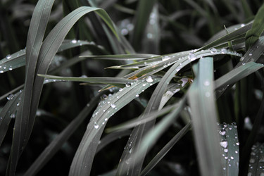 Similar image 21882212