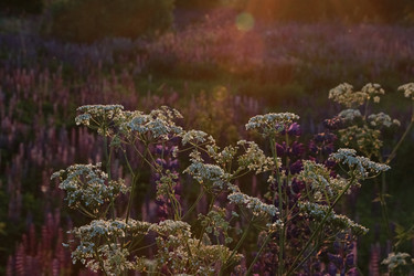 Similar image 21882099