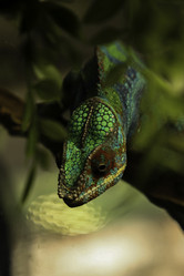 Similar image 21882064