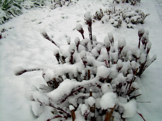 Similar image 21880333